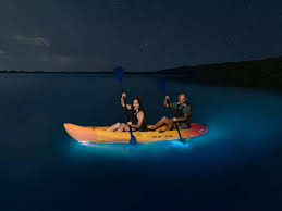 Imagen de referencia de kayak en bahía bioluminiscente